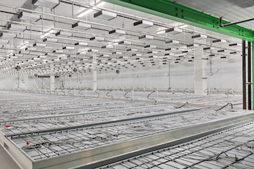 Vantage Builders Completes 100,000 SF Cannabis Cultivation and Dispensary Facility for GreenCare Collective