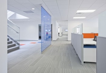 mcguinnesscasa  sarah young