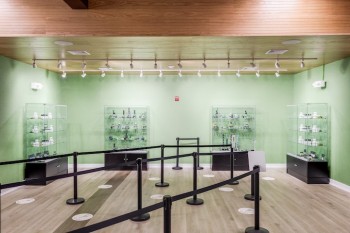 sanctuary brook websize